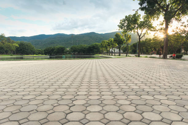 Best Driveway Repair Near Me  in Country Club Hls, IL